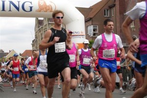 Leie corrida Lauwe – foto 1